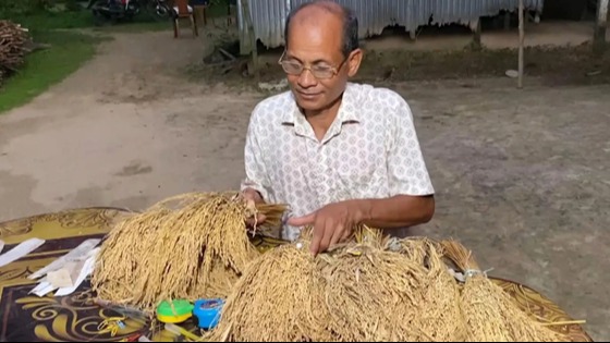 কৃষক সেন্টু হাজংয়ের দেশি ধানের ২৫ নতুন জাত আবিষ্কার