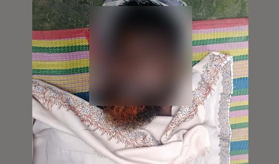 শৈলকুপায় ভাইয়ের হাতে ভাই খুন, স্ত্রী আহত