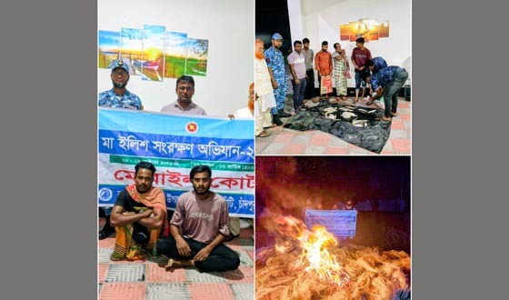 চাঁদপুরে মা ইলিশ রক্ষা অভিযান, কারেন্ট জাল জব্দ, কারাদণ্ড ও জরিমানা