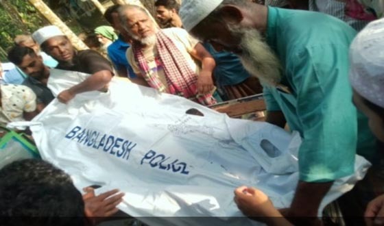 শরণখোলায় ইঁদুর মারার বৈদ্যুতিক ফাঁদে কৃষকের মর্মান্তিক মৃত্যু