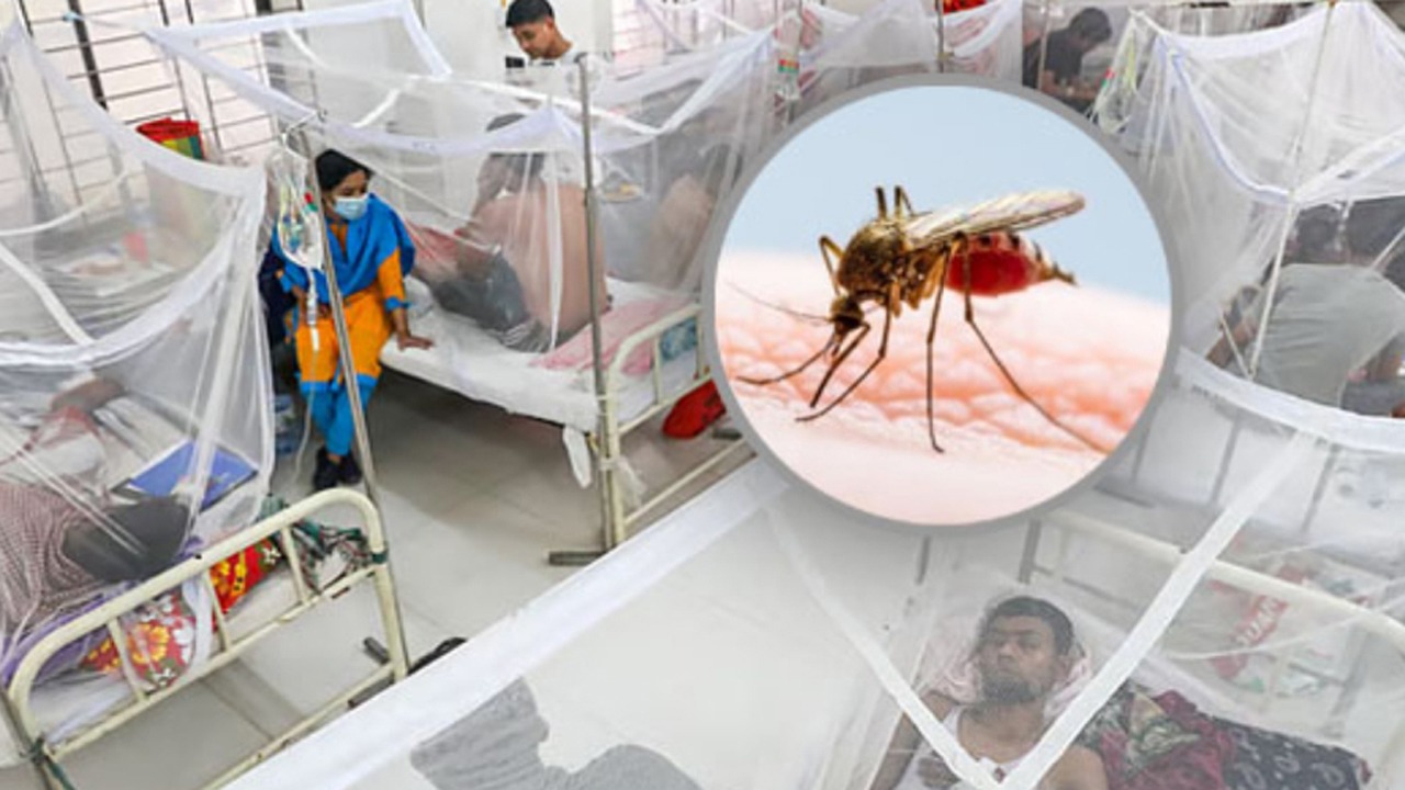 ডেঙ্গুতে আরও ৭ জনের মৃত্যু, হাসপাতালে ভর্তি ২২৪৯
