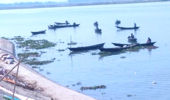 কিশোরগঞ্জের হাওরে মিঠাপানির মাছ হারিয়ে যাচ্ছে