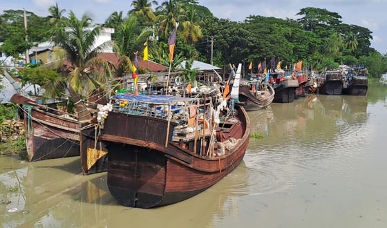 ইলিশ আহরণে নিষেধ