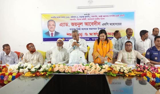 গ্যাস-বিদ্যুৎ সংকটের দায় বিগত সরকারের: জয়নুল আবেদীন