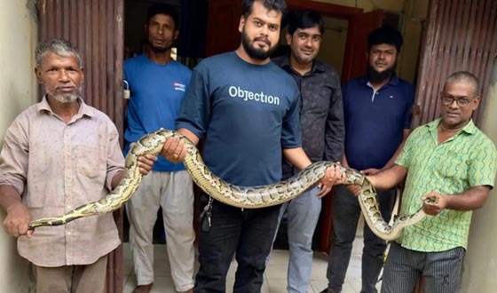 শ্রীমঙ্গলে এক মাসে উদ্ধার অজগর সাপসহ ২০ বন্যপ্রাণী