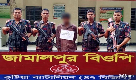 দৌলতপুর সীমান্তে  ভারতীয় মাদকদ্রব্য উদ্ধার, আটক ১