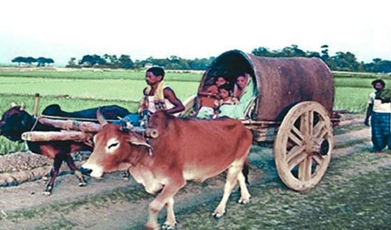 তানোরে এখন আর চোখে পড়েনা গ্রাম বাংলার ঐতিহ্য গরুর গাড়ী