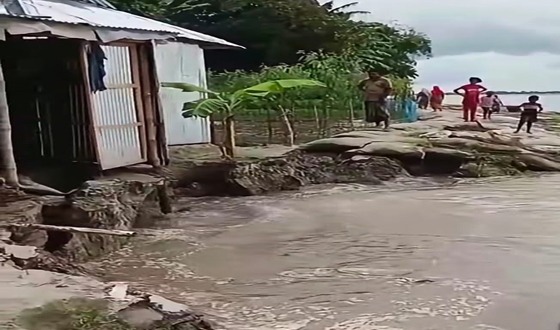 কুড়িগ্রামে তিস্তা নদী তীব্র ভাঙন, মুহূর্তেই নদীগর্ভে বিলীন বসতভিট