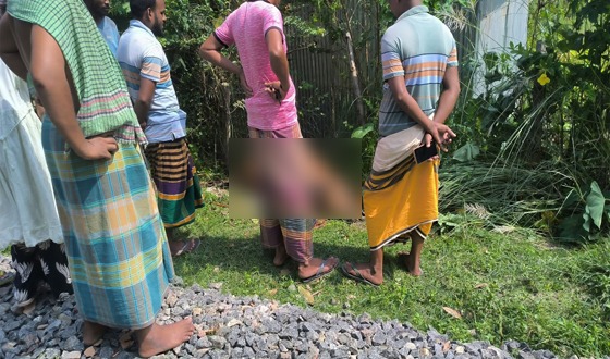কুড়িগ্রামে ট্রেনের ধাক্কায় গরুর মৃত্যু, প্রাণে বাঁচলেন মালিক