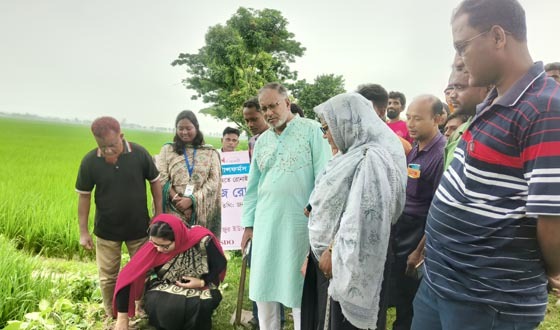 মহাদেবপুরে গ্রামীণ সড়কে তালবীজ রোপণ কার্যক্রমের উদ্বোধন