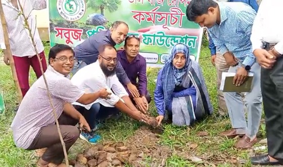 বজ্রপাতের ঝুঁকি কমাতে তালবীজ রোপণ করলেন ইউএনও