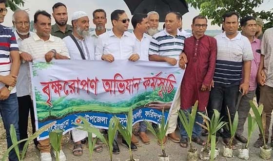 মধুখালীতে ২ কিলোমিটার সড়কে তালগাছের চারা রোপণ