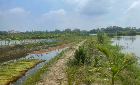 বাগমারার ঝিকরায় ৭ কিলোমিটার খাল পুনঃখনন, ভাগ্য খুলল কৃষকদের
