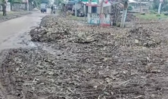কালীগঞ্জে মহাসড়কের পাশে কলাহাটের আবর্জনার স্তুপ দুর্গন্ধে অতিষ্ঠ পথচারীরা