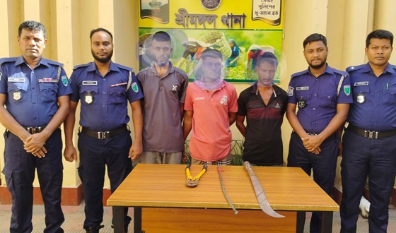 শ্রীমঙ্গলে ডাকাতির প্রস্তুতিকালে দেশীয় অস্ত্রসহ ৩ ডাকাত গ্রেফতার