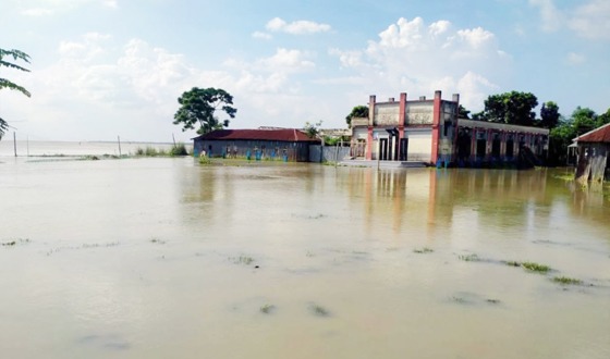 বাঘায় বন্যায় পদ্মার চরে ৮টি বিদ্যালয়ের শিক্ষার্থীদের ছুটি ঘোষণা