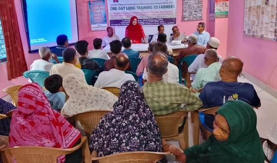 কালীগঞ্জে ধান চাষে পানি সাশ্রয়ের উপর ২৫ কৃষককে প্রশিক্ষণ