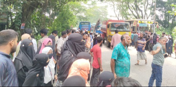 মাদ্রাসার সামনে পরিবহনের ধাক্কায় শিক্ষিকা নিহত, মহাসড়ক অবরোধ