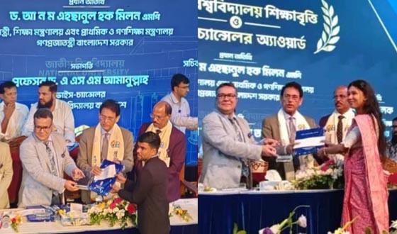 জাতীয় বিশ্ববিদ্যালয়ের ভাইস চ্যান্সেলর অ্যাওয়ার্ড পেলেন দুই শিক্ষার্থী