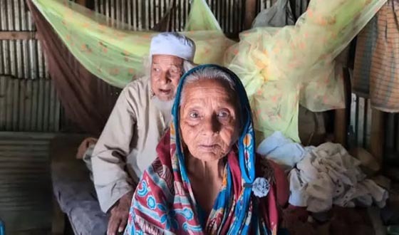 শেরপুরে বৃদ্ধ শিক্ষক দম্পতির মানবেতর জীবন যাপন