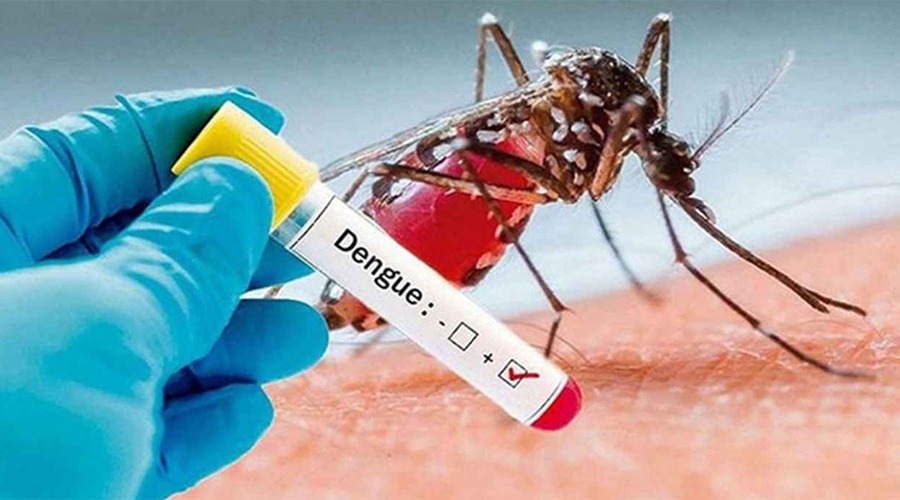 ডেঙ্গুতে আক্রান্ত হয়ে আরও ৬ জনের মৃত্যু