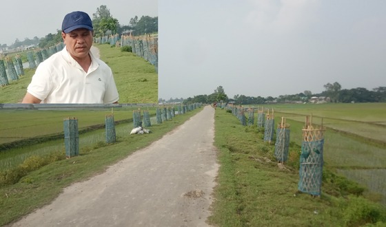 মেলান্দহে প্রকৃতি ও রৌমারি বিল রক্ষায় চেয়ারম্যানের উদ্যোগ