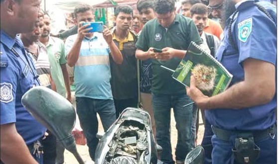 মোটরসাইকেলের সিট ও তেলের ট্যাঙ্কি থেকে গাঁজা উদ্ধার