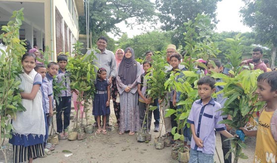 কলাপাড়ায় গাছের চারা বিতরণ