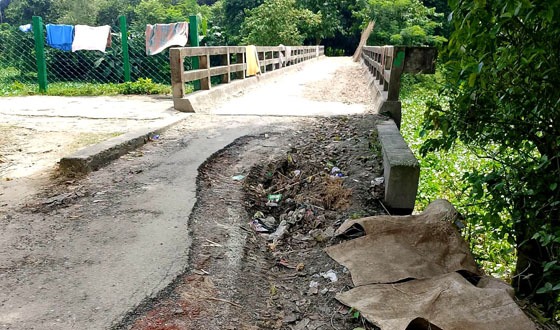চাটমোহরে বড়াল নদের ব্রিজের সংযোগ সড়কে ধস