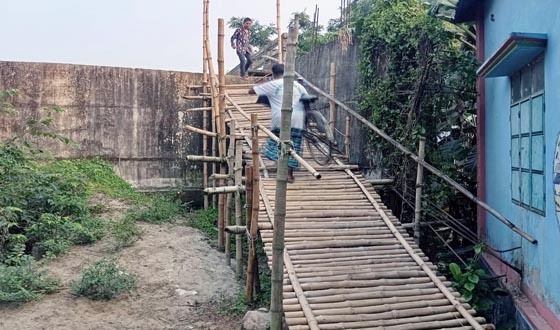 টাঙ্গাইলে আধুনিক ব্রিজে ওঠার বাহন ‘বাঁশের সাঁকো’ দুর্ভোগে মানুষ