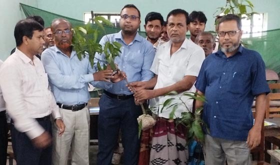 ধামইরহাটে ভ্রাম্যমান সমবায় প্রশিক্ষণ ও বৃক্ষরোপন