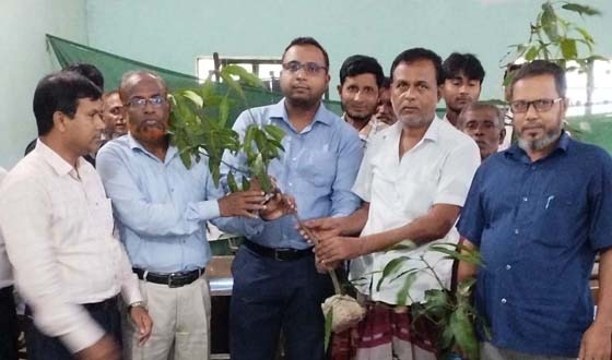 ধামইরহাটে ভ্রাম্যমান সমবায় প্রশিক্ষণ ও বৃক্ষরোপন