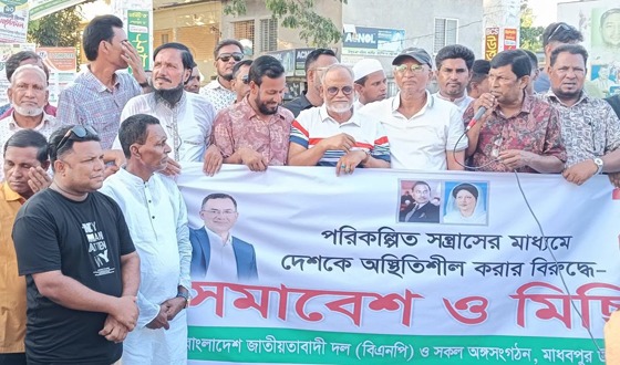 মাধবপুরে বিএনপির মিছিল, সমাবেশ