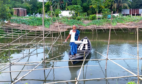 পুকুরে মাছ, পাড়ে সবজিচাষে সফল ওয়ালি উল্লাহ