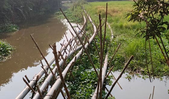 সিরাজদিখানে জমি ভরাট, কমছে ফসলী জমি