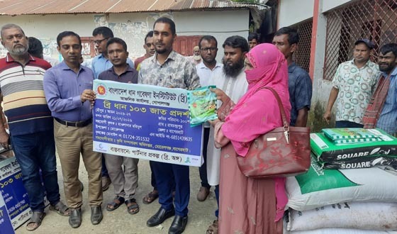 মোরেলগঞ্জে কৃষকদের মাঝে সার ও বীজ বিতরণ