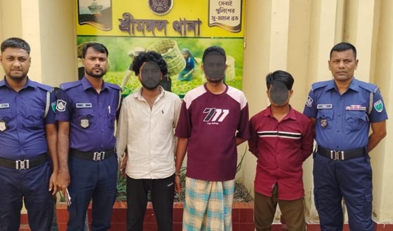 কিশোরীকে অপহরণ ও ধর্ষণের অভিযোগে ৩ আসামি গ্রেফতার