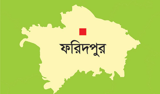 চরভদ্রাসনে ঝুঁকিপূর্ণ ট্রলি যানের উপর অভিযান
