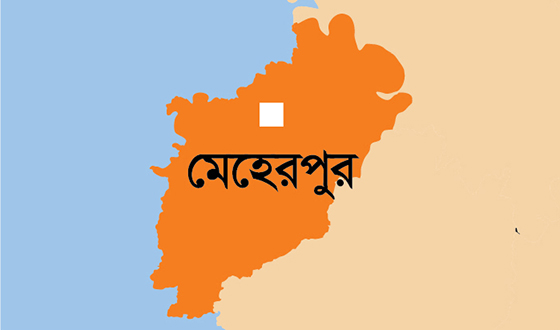 মেহেরপুরের গাংনীতে পানিতে ডুবে শিক্ষার্থীর মৃত্যু