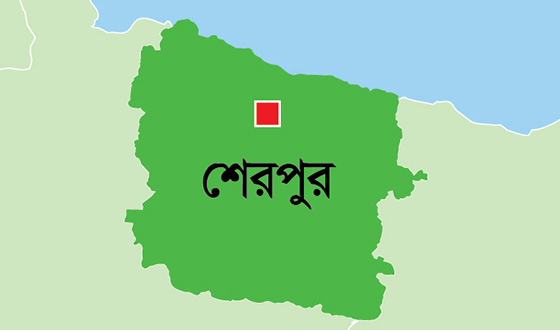 সেনাবাহিনীর অভিযানে ভারতীয় জিরা-কম্বল জব্দ