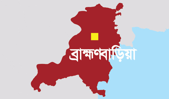 নাসিরনগরের ধরমন্ডলের আসামী সাবেক স্বরাষ্ট্রমন্ত্রী