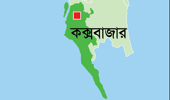 চকরিয়ায় বন্য হাতির আক্রমণে দুই শ্রমিক আহত