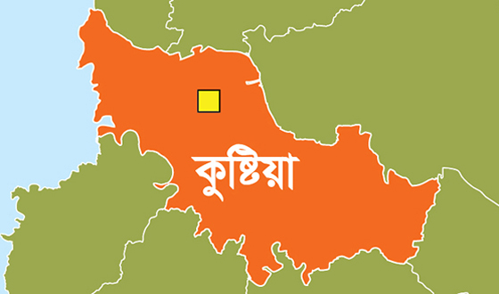 ভেড়ামারায় বোতলজাত সয়াবিন তেলের কৃত্রিম সংকট