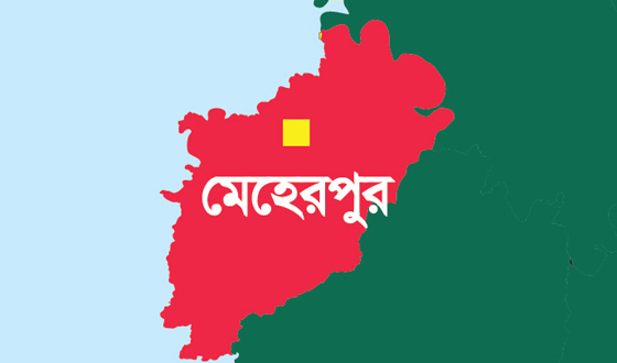 মেহেরপুরের গাংনীতে বিল্ডিংয়ের ছাদ ধসে ভিক্ষুকের মৃত্যু