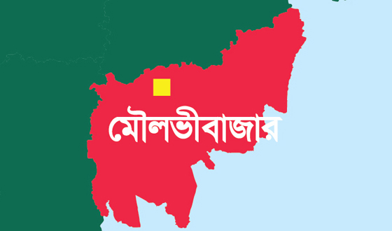 কমলগঞ্জে ৫ দিনব্যাপী শতভূজা বাসন্তীপূজা ও মেলা শুরু