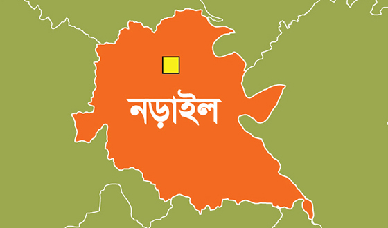নড়াইলে স্কুলছাত্রীকে যৌন নির্যাতনের অভিযোগ