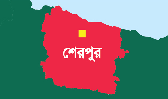 মুক্তিযোদ্ধাদের তুমুল লড়াইয়ে আজ মুক্ত হয় শেরপুর