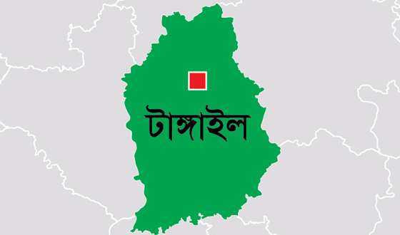 মির্জাপুরে জমির বিরোধে শ্রমিক দল নেতা নিহত
