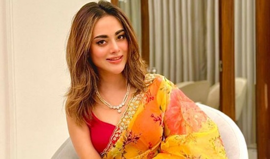 রায়হান রাফীর নতুন সিরিজে তমা