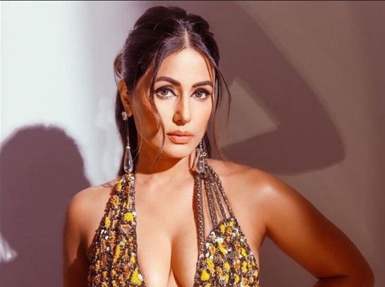 আলোর দিকে হেঁটে চলেছি : হিনা খান